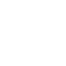 Brain icon